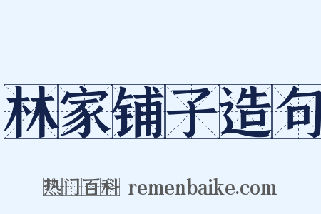 林家铺子造句是什么意思的图片